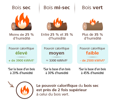 Faire son bois de chauffage : les bonnes étapes au bon moment - SorelTracy  Magazine